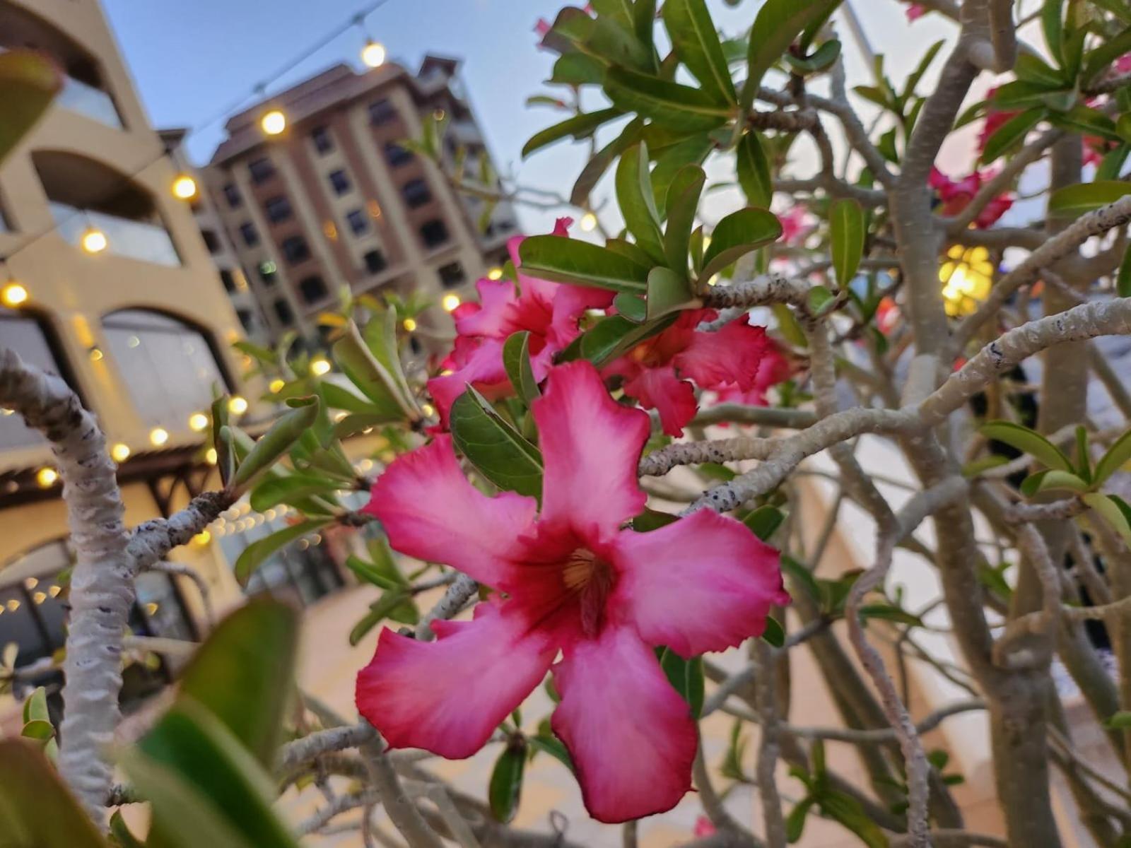 Marjan Island Beautiful Apartment Sea Side View Beach Luxury Rooms Ras Al Khaimah Uae Экстерьер фото